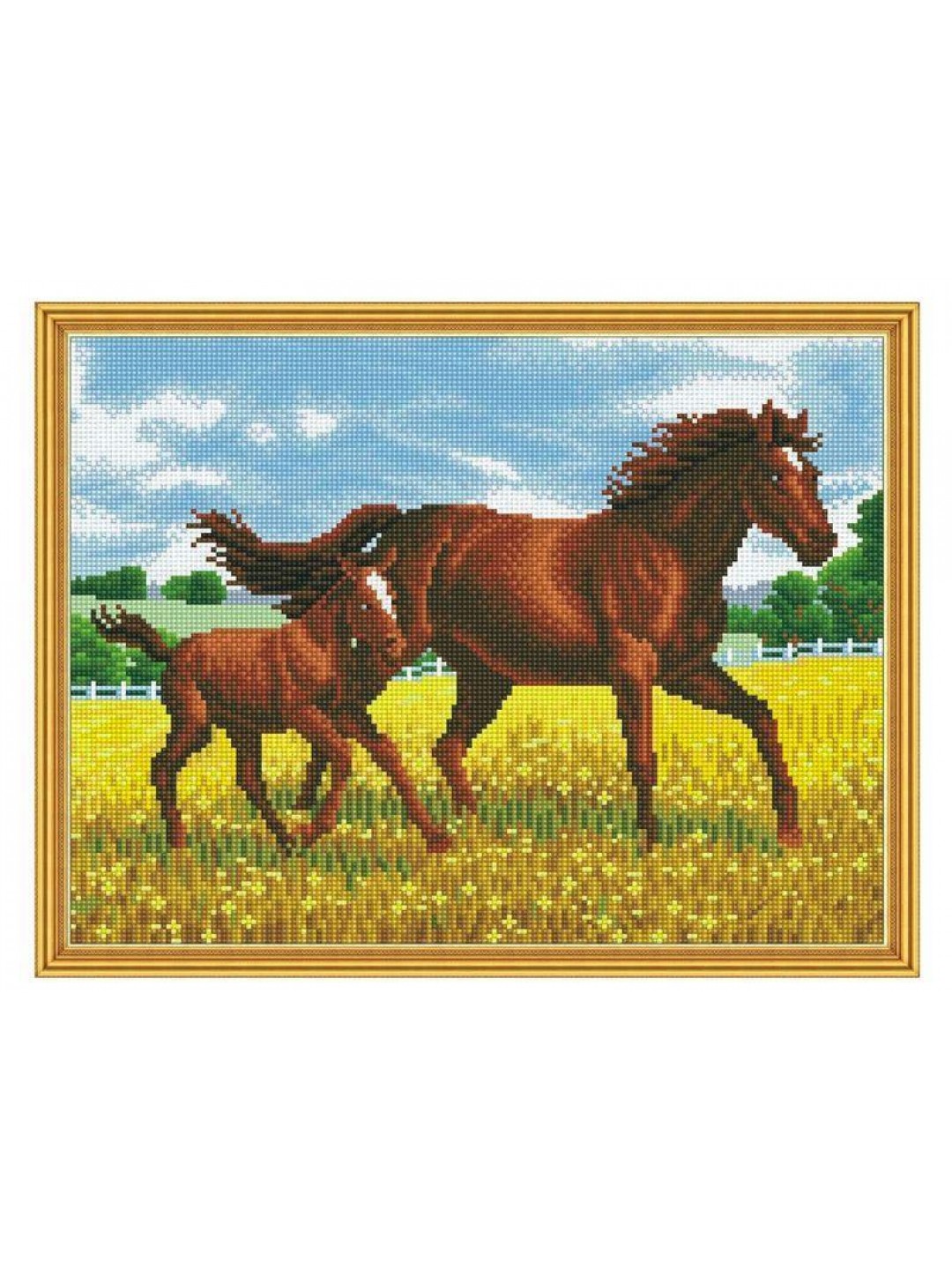 Алмазная мозаика с нанесенной рамкой 40х50 ПРОГУЛКА (28 цветов)