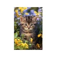 Картина по номерам с цветной схемой на холсте 30х40 Новые ароматы (18 цветов) Картина по номерам с цветной схемой на холсте 30х40 Новые ароматы (18 цветов)