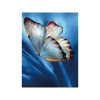 Алмазная мозаика 15х20 БАБОЧКА НА СИНЕМ (14 цветов) Алмазная мозаика 15х20 БАБОЧКА НА СИНЕМ (14 цветов)