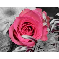 Картина мозаикой 15х20 РОЗА НА СЕРОМ ФОНЕ (7 цветов) Картина мозаикой 15х20 РОЗА НА СЕРОМ ФОНЕ (7 цветов)