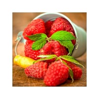 Картины мозаикой 30х30 ЯГОДА МАЛИНА (31 цвет) Картины мозаикой 30х30 ЯГОДА МАЛИНА (31 цвет)