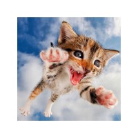 Картины мозаикой 30х30 Я ЛЕЧУ... (28 цветов) Картины мозаикой 30х30 Я ЛЕЧУ... (28 цветов)