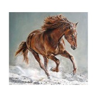 Картина по номерам 30х30 Рысак (17 цветов) Картина по номерам 30х30 Рысак (17 цветов)